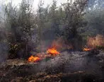 ۵۰ هکتار از اراضی ملی نورآباد در آتش سوخت