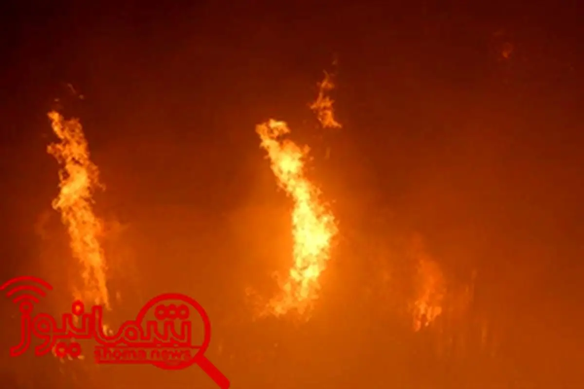 آتش سوزی مهیب در انبار چوب ۱۰ هزار متری