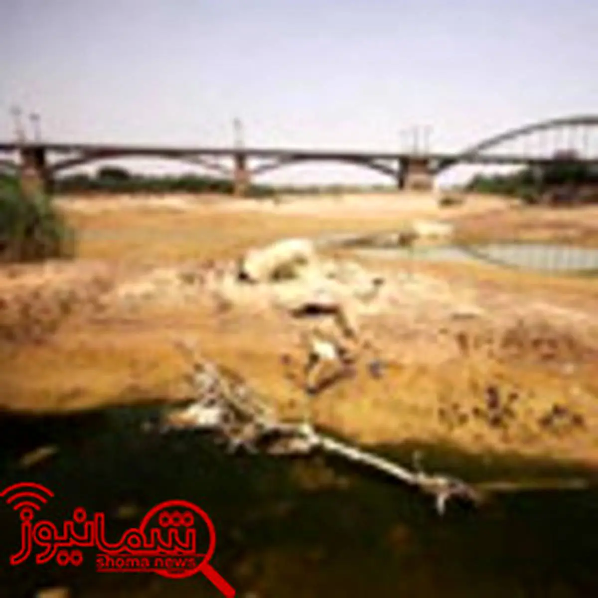 شایعه انتقال آب خوزستان به بصره