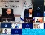 نشست معاونین وزرای دارایی بریکس با حضور معاون وزیر اقتصاد ایران برگزار شد