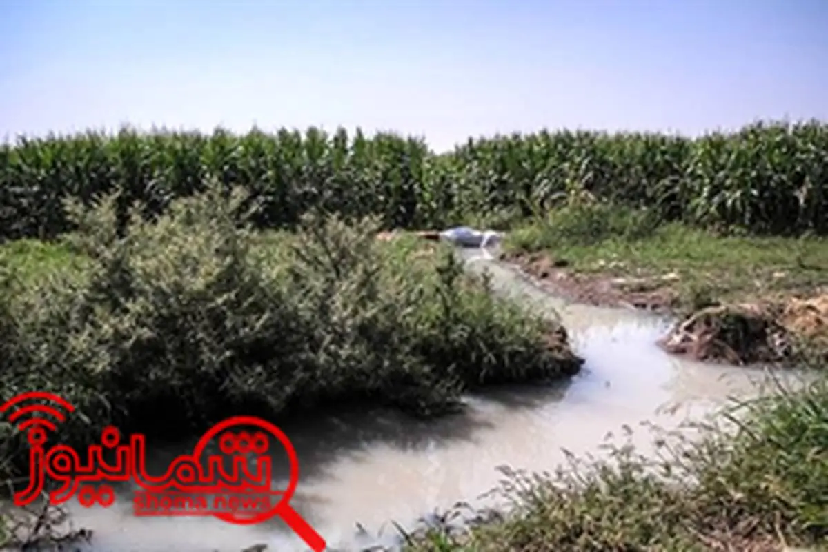 آبیاری با آب فاضلاب 30 کشاورز یک روستا در گلستان را مسموم کرد