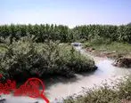 آبیاری با آب فاضلاب 30 کشاورز یک روستا در گلستان را مسموم کرد