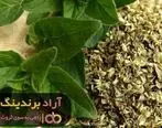 با پونه کوهی مسیر ثروتمندی را طی کردم