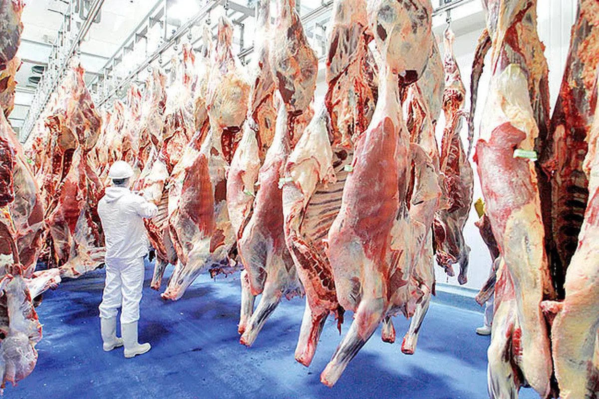 پشت پرده گرانی گوشت قرمز | گوشت قرمز برای مصرف کننده همچنان گران! 