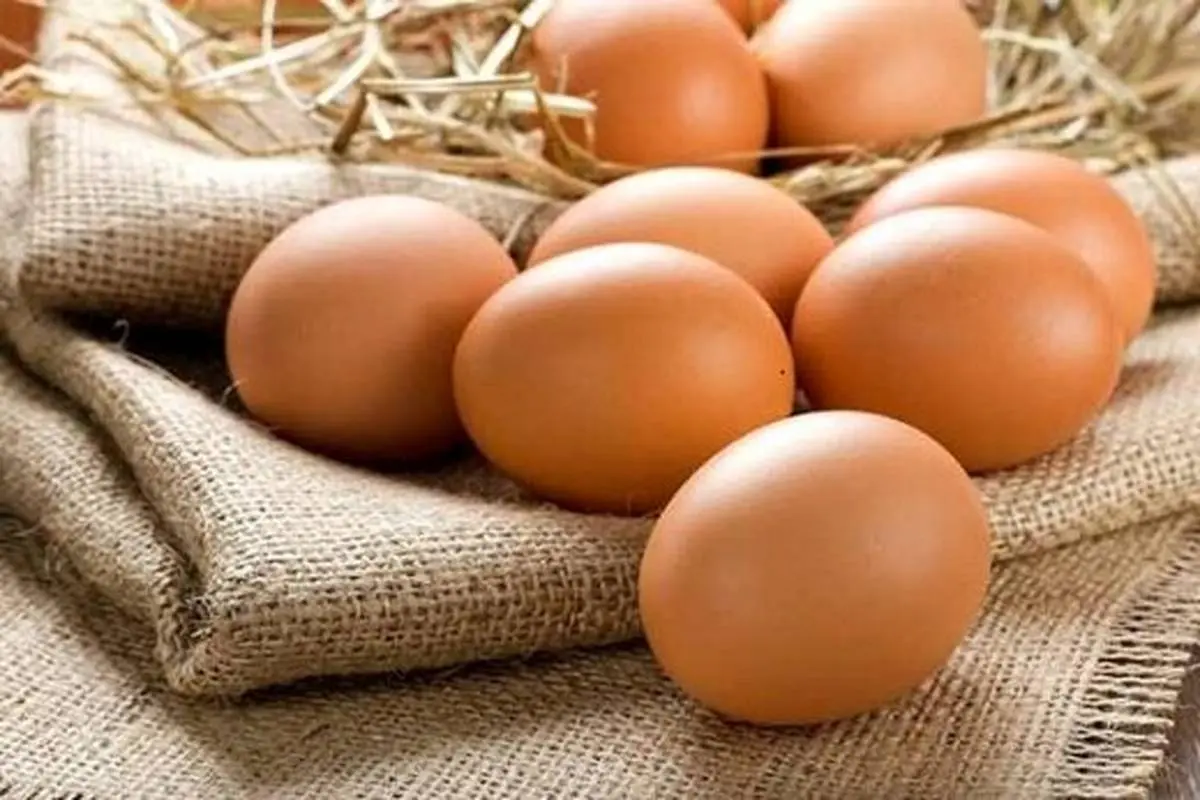 تخم مرغ گران شد | قیمت جدید تخم مرغ در بازار