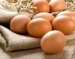 تخم مرغ گران شد | قیمت جدید تخم مرغ در بازار