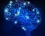 ویژگی های متخصص مغز و اعصاب خوب چیست؟