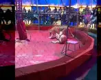 حمله شیرها به مرد جوان در سیرک همه را ترساند + ویدئو