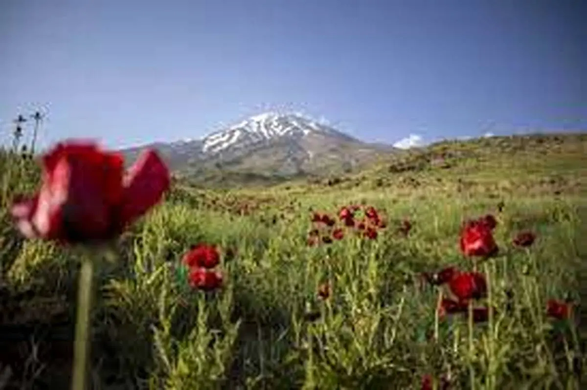 نماهنگ لاله های دماوند با صدای کاوه کیانی رونمایی شد