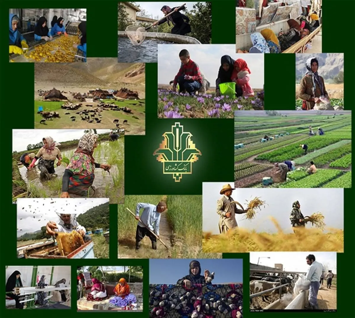 حمایت 36 هزار میلیارد ریالی بانک کشاورزی از اشتغال مددجویان کمیته امداد و بهزیستی