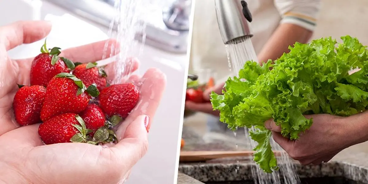 موثرترین راه های ضدعفونی میوه و سبزیجات 