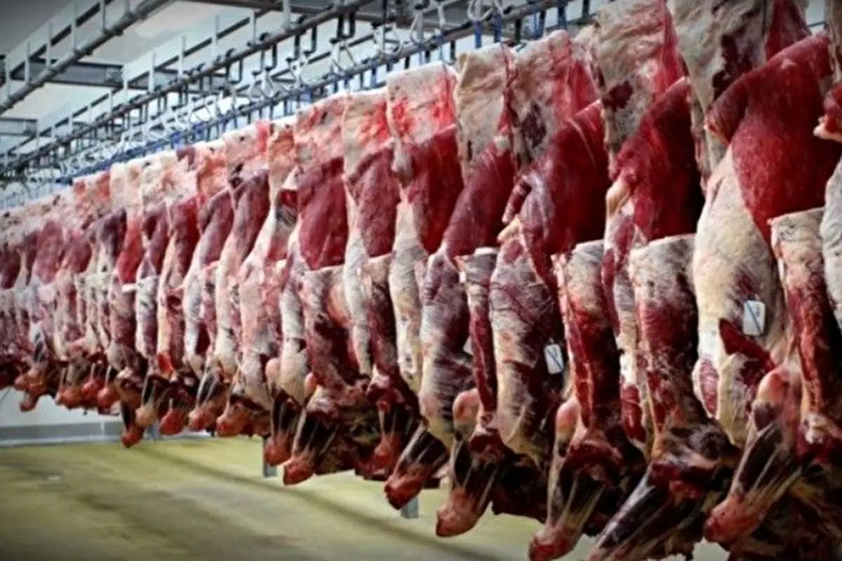 قیمت گوشت تا 65 تومان کاهش می یابد 