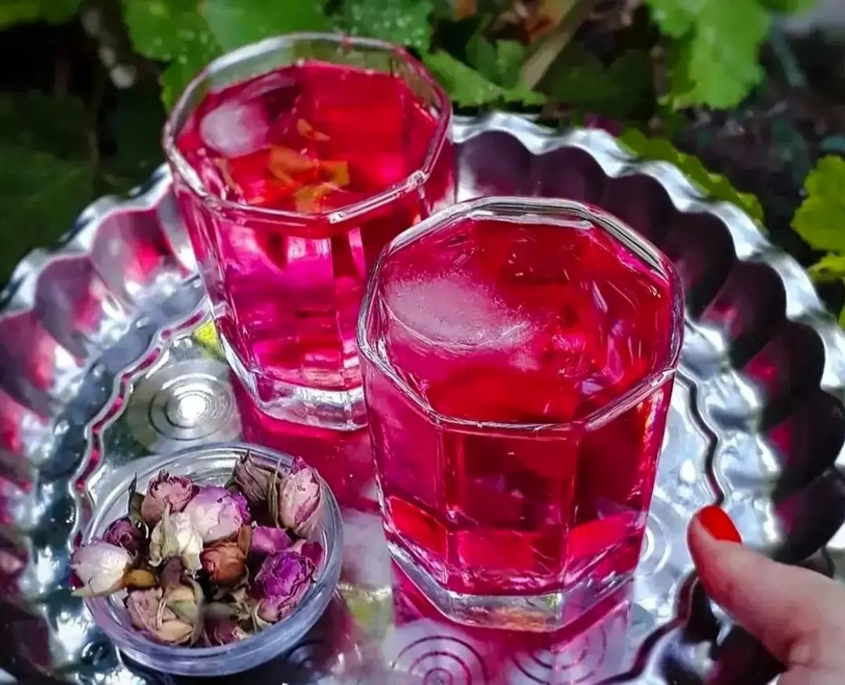 یک شربت خنک و دل چسب برای روزهای ماه رمضان | طرز تهیه شربت گل محمدی با عطری بی نظیر 