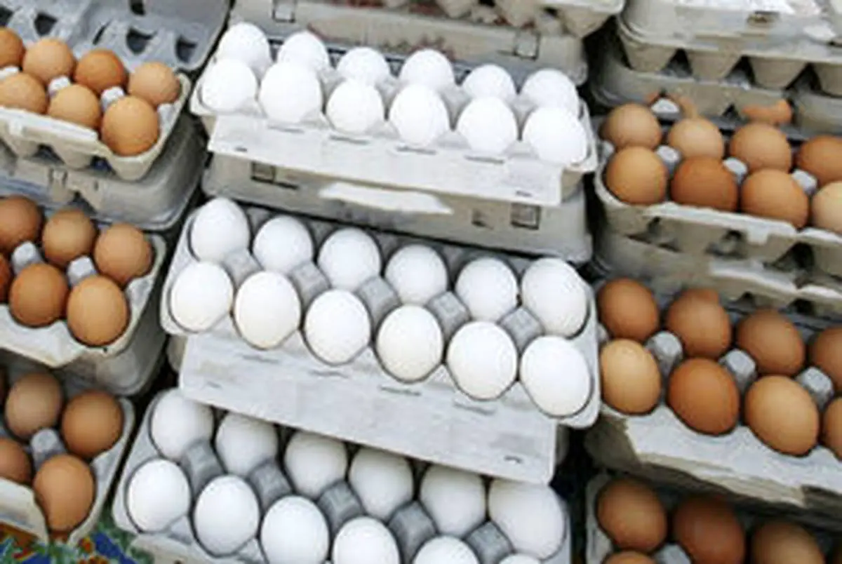 قیمت جدید تخم مرغ بسته بندی اعلام شد | جدول