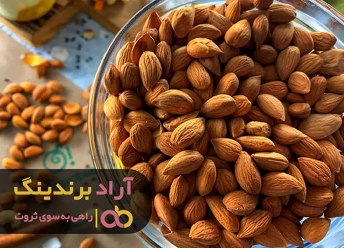 تا پایان سال درآمدتان را متحول سازید