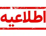 «دورکاری حداکثری» در ایرانسل عملیاتی شد