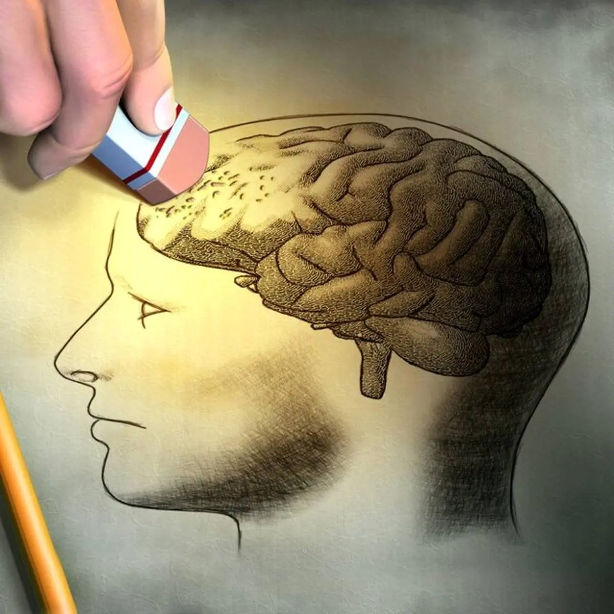 کدام مزاجها حافظه قویتری دارند؟