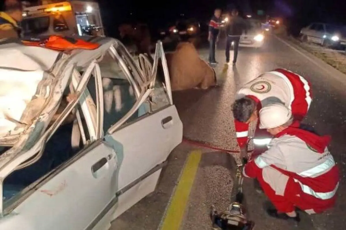 اخبار حوادث | دو کشته در پی تصادف با شتر
