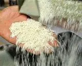 برنج ۶۰ هزار تومانی ۲۰۰ هزار تومان به دست مصرف‌کننده می‌رسد