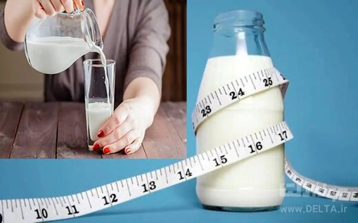 تاثیر شیر در کاهش وزن 