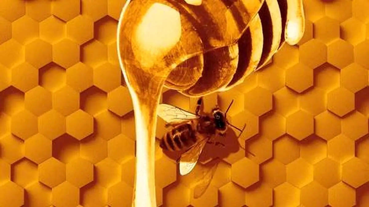 مدفوع کردن زنبور عسل را ببینید + فیلم