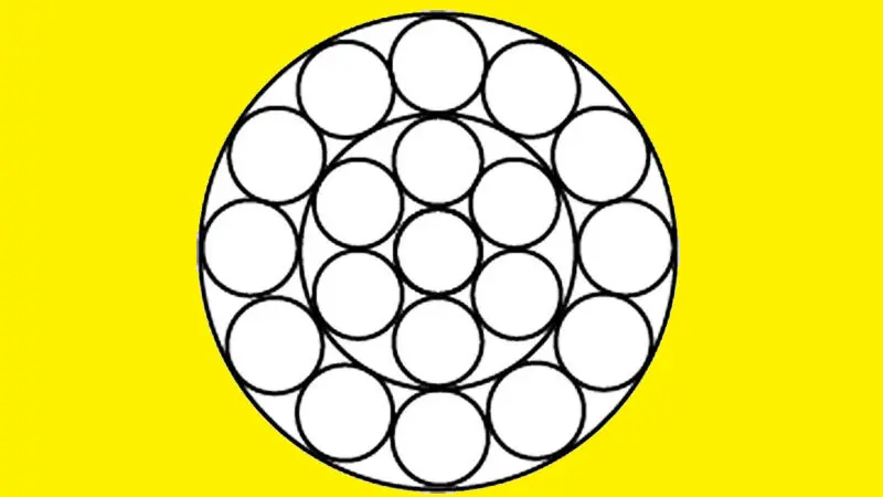 فقط یک نابغه می‌تواند تعداد دقیق دایره‌ها را پیدا کند؟