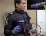 عجیب اما واقعی؛ دستگیری مرد ایرانی در فرودگاه سوئد به خاطر حمل مدفوع الاغ!