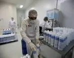 راه اندازی خط تولید مایع ضدعفونی کننده در منطقه آزاد ماکو