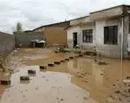 بانک قرض‌الحسنه مهر ایران خسارت خانه‌های روستایی آسیب‌دیده از سیل خراسان جنوبی را پرداخت می‌کند