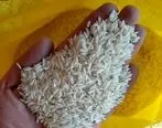 کدام برنج بازاری سالم‌تر است؟