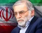 پیام تسلیت مدیرعامل بانک مهر ایران در پی شهادت دانشمند هسته‌ای کشور

