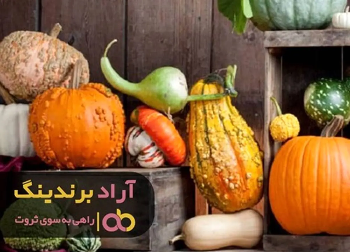 چگونه کدو را در گلدان پرورش دهیم؟