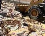 انهدام بیش از 60 تن انواع کالای قاچاق توسط اموال تملیکی استان بوشهر
