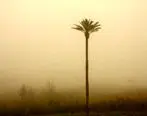 خوزستان در خاک خفه شد 