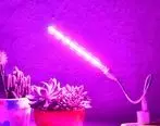 پرفروش ترین لامپ های رشد گیاه در سایت نوراکومارت
