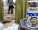این 5 کشور از ایران واکسن برکت می خرند | آمار کرونا امروز 20 مهر
