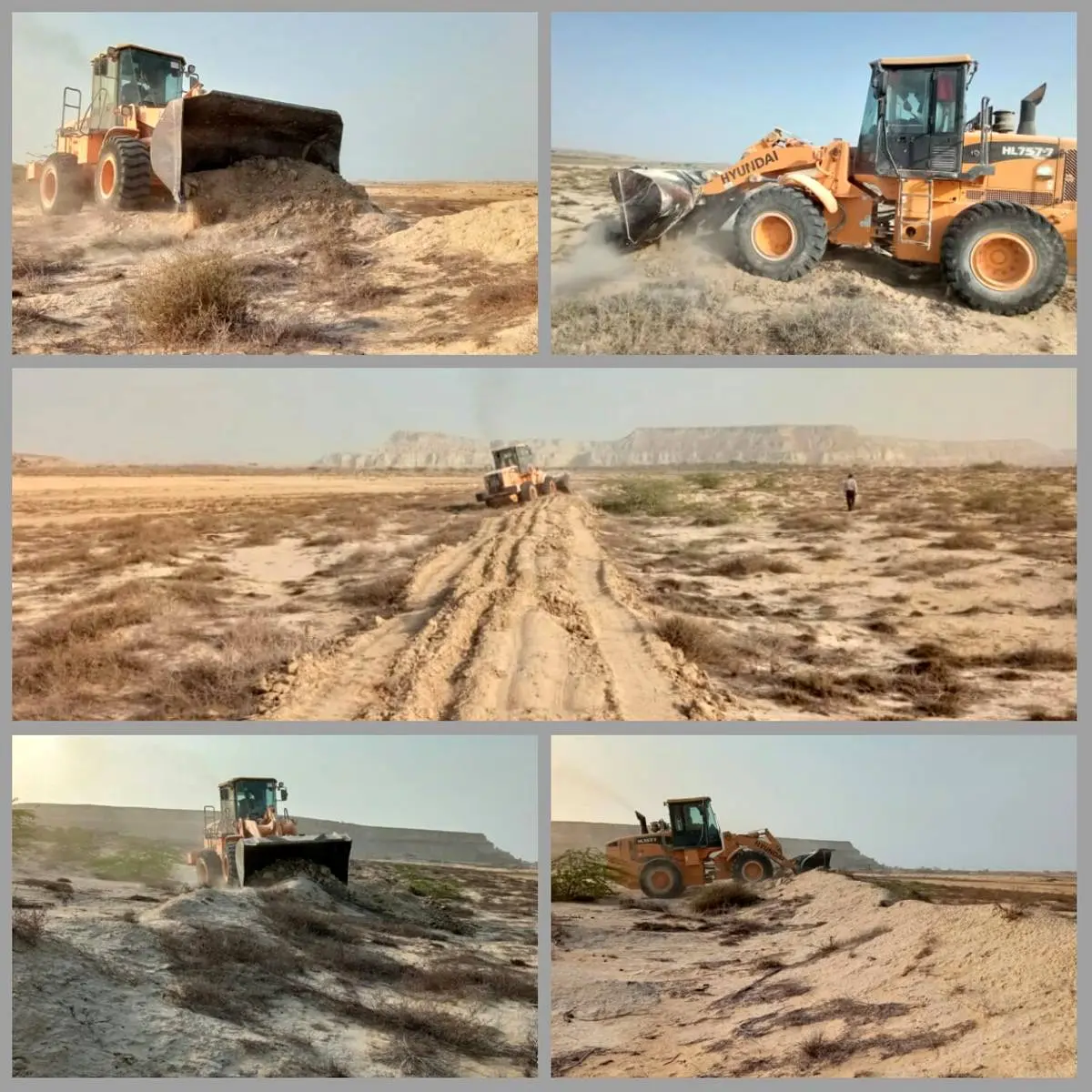 ۶۹.۵ هزار مترمربع اراضی خالصه دولتی در روستای ریگو قشم رفع تصرف شد 
