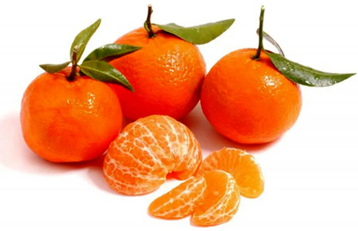 خواص بی نظیر نارنگی برای سلامتی + مضرات