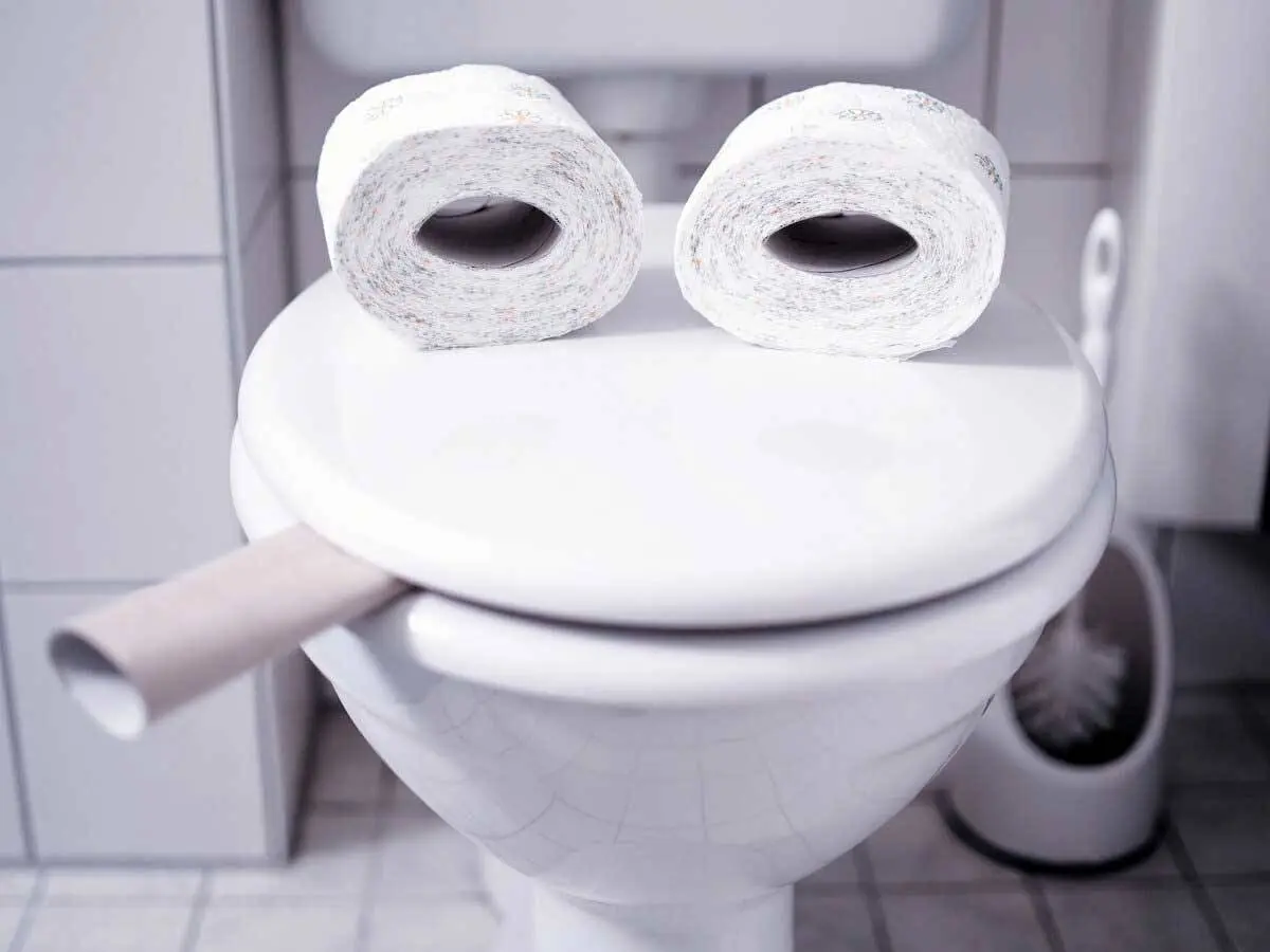 روش های از بین بردن بوی بد توالت فرنگی

