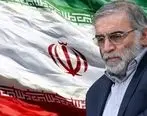 پیام تسلیت مدیرعامل سازمان منطقه آزاد قشم به مناسبت شهادت محسن فخری‌زاده