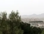 پیش بینی وزش باد شدید در جنوب تهران