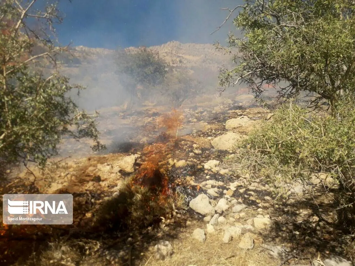 آتش سوزی در جنگل‌های گچساران مهار شد + جزئیات