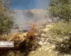 آتش سوزی در جنگل‌های گچساران مهار شد + جزئیات