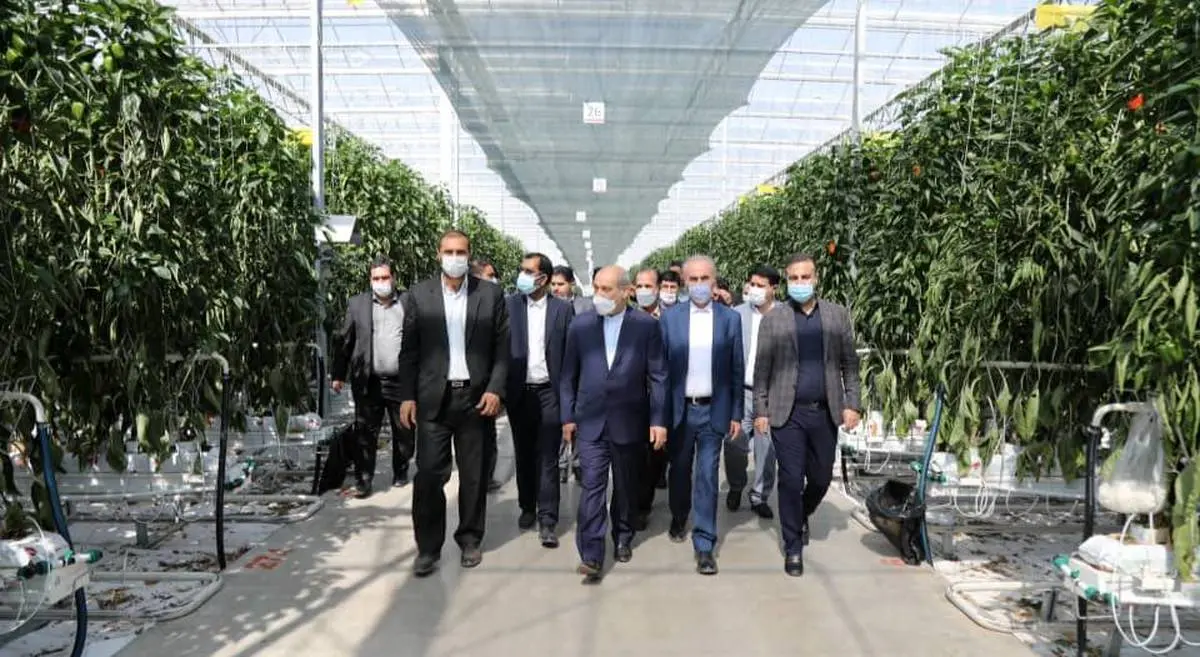 بازدید مشاور رئیس جمهور از ۶ شرکت صنعتی و تولیدی مستقر در منطقه آزاد ارس