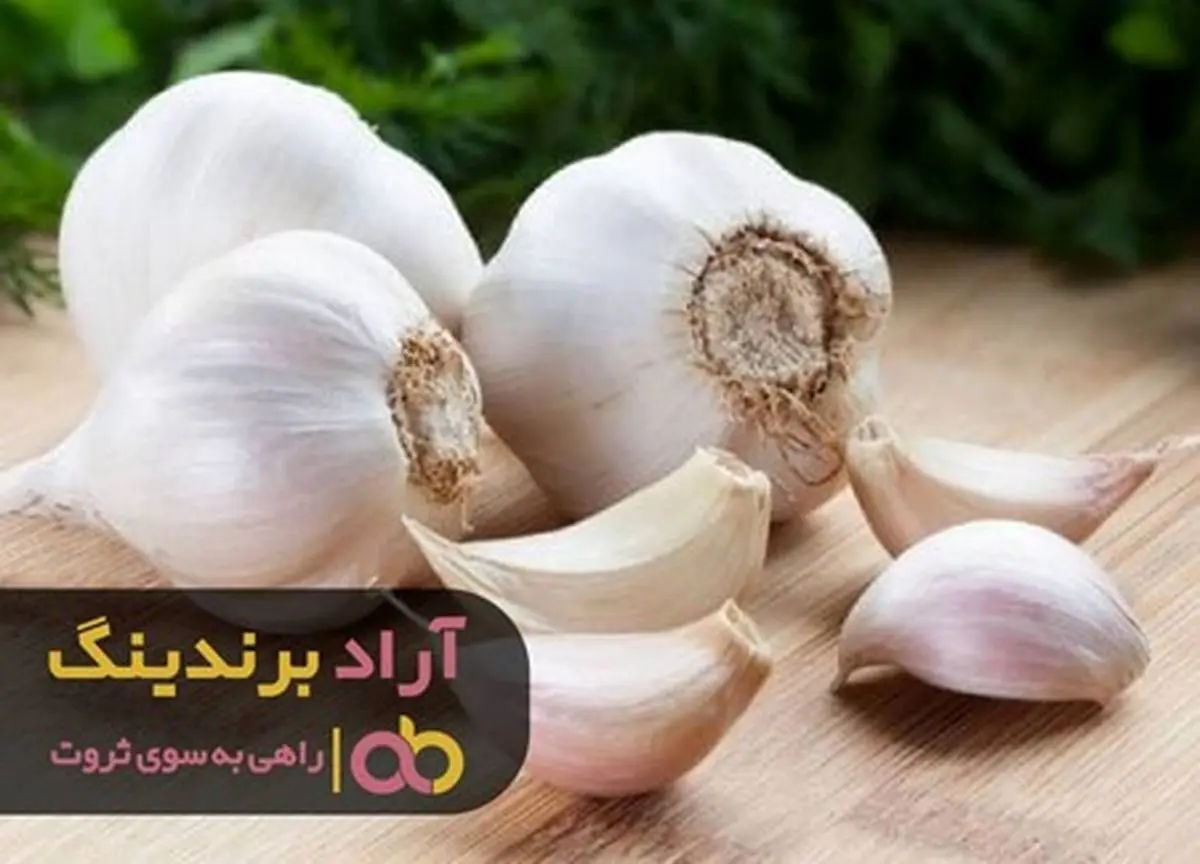 ثروت با حبه های سیر بر سرم ریخت