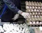 هر شانه تخم‌ مرغ 35 هزار تومان بفروش می‌رسد / احتمال افزایش قیمت هر شانه تخم مرغ تا 80 هزار تومان 