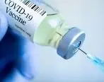 تا امروز برای واکسن ایرانی کرونا اسم چند داوطلب ثبت شد؟