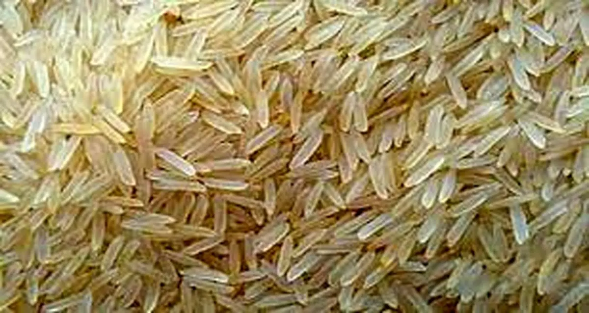 قیمت بالای برنج هندی در بازار| برنج هندی گران تر از برنج های دیگه شد
