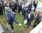 کاشت نهال توسط مدیر عامل بانک ملی ایران به مناسبت روز درختکاری

