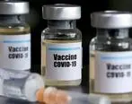 خبر خوش | واکسن کرونای ایرانی تا پایان امسال ساخته می شود